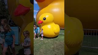 Is This The Biggest Rubber Duck In History?