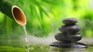 Relaxing Music, Reiki Healing Music, Zen Music, Meditation Music, Calm Music, Sleeping Music, ☯1913