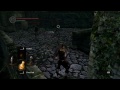 Dark Souls Prepare To Die Walkthrough - Part 5 "Dragon Tail - Epic Fight (Irony)"