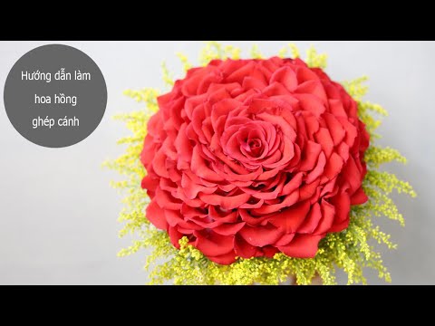Hướng dẫn làm hoa hồng ghép cánh dùng kỹ thuật xiên tăm | hoa tươi Tường An