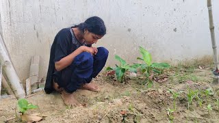 22 मई 2025