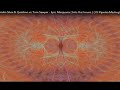 Sandro Silva & Quintino vs Tom Sawyer - Epic Marijuana ( Into this house ) ( DJ Piperka Mashup)