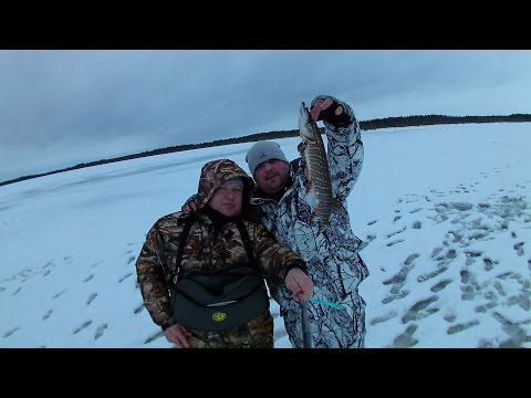 на жерлицы в карелии на жерлицы в карелии