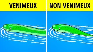 Que Faire Si Tu Croises Un Serpent ?