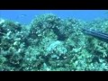 PESCA SUB CON ROBERTO TIVERON A SANTA MARINELLA