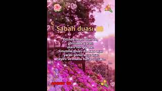 Sabah Duasi Hafta Sonu Duasi Pinari