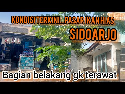 Keadaan Pasar Ikan Hias Sidoarjo Terkini