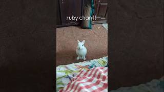 Rubi Chan So Cute