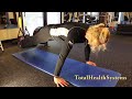 TRX Crunch by Laurie