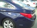 2013 Hyundai Sonata Akron Ohio 2013 Hyundai Sonata Akron Ohio