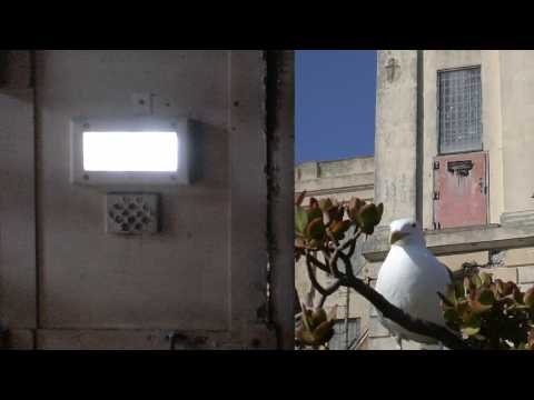 Alcatraz Island and prison tour 2009