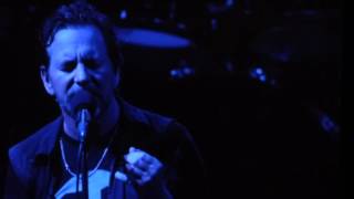 Watch Pearl Jam Strangest Tribe video