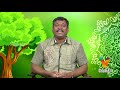 ஒரு நாளில் கிட்னி கல் கரைக்கும் முறை..? Marunthilla Maruthuvam (04/09/2017) | [Epi-1100]