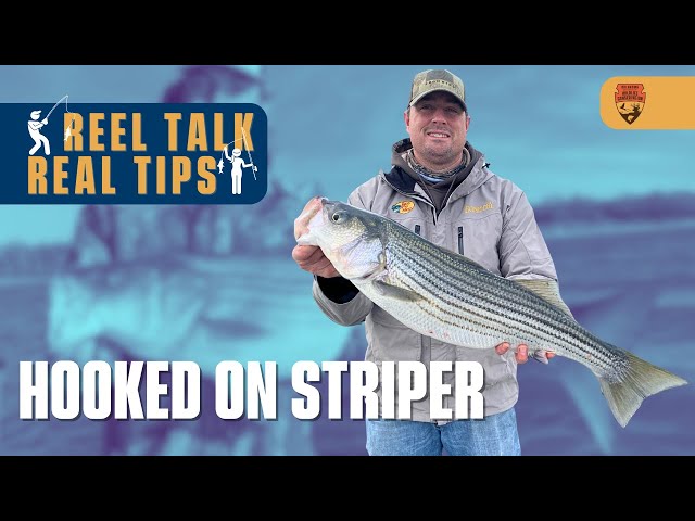 Watch EP: 11 Hooked On Striper, featuring: Matt Mauck, Reel Talk Real Tips on YouTube.