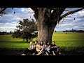 thepaperkitesband