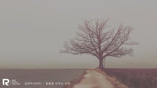새벽나무 - 내 마음 속에.jpg