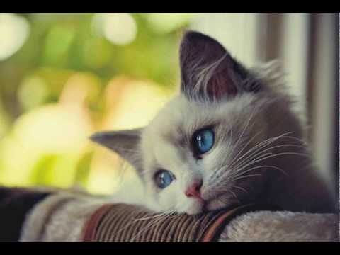 01 Right Here Waiting (Cover) Love Acoustic