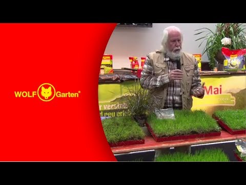 WOLF-Garten - Rasenberatung Teil 2: Welche Rasenmischung ist für welchen Zweck geeignet?