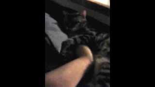 Watch Knockout Sleeping In video