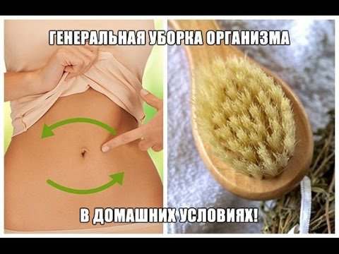 Чем и как почистить организм в домашних условиях Чем и как почистить организм в домашних условиях