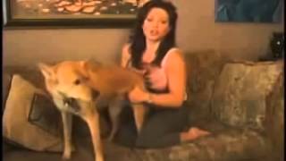 Free mature woman with young Women witn strapon in sex act