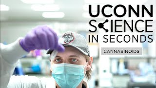 Science in Seconds: Cannabinoids | UConn