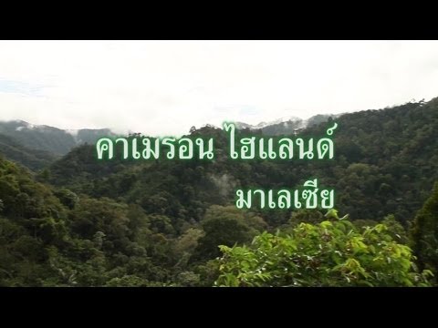 เที่ยวไปตามใจฝัน ตอน คาเมรอน ไฮแลนด์
