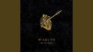 Watch Wildlife One For The Body video