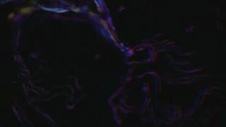 Watch Wumpscut Die Liebe video