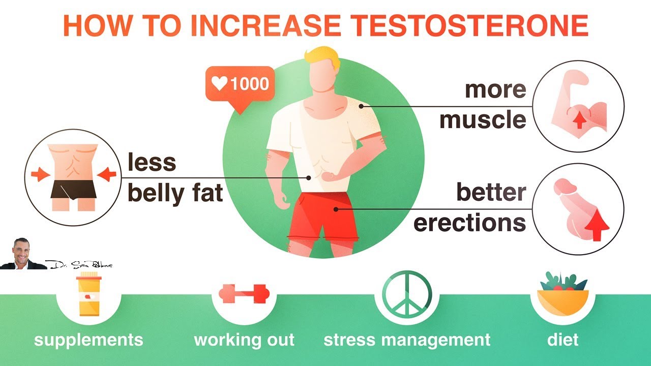 Masturbation helps testoserone