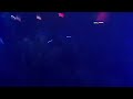 Rex The Dog vs Kris Menace 'Pow!'