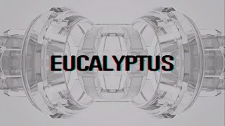 Eucalyptus - Glitch Background Music by Enlit Audio