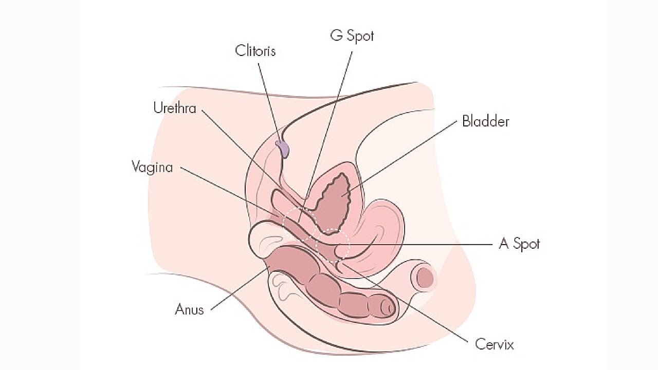 G spot and orgasm