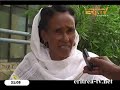 Eritrean News Tigrinya 19 March 2014 Eri Tv