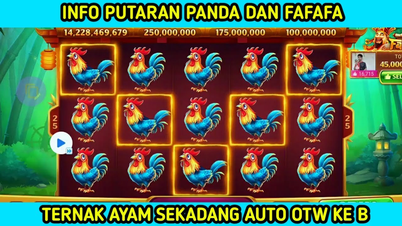 2M ALMS CAPITAL INFO ROUND FAFAFA AND PANDA GACOR 2M ALMS CAPITAL INFO ROUND FAFAFA AND PANDA GACOR