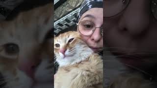 Aşi Olduktan Sonra Konuşan Kedi̇ D