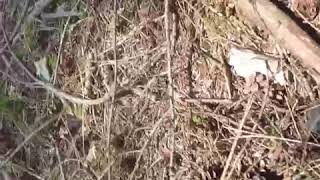 Forest Of Dean Pedalabikeaway Crash On Gopro