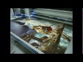 Видео цифровая декоративная фреска киев Artfresco&Decor фото