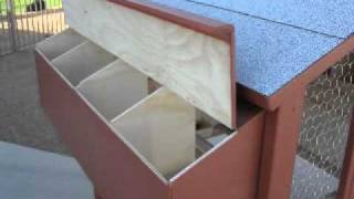 DIY Build a Chicken Coop - Important Tips for an effective solution to your chicken hosuing needs