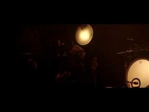 Love Is A Bug Video