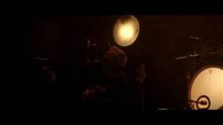 Watch Sharko Love Is A Bug video