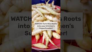 How To Make Arrowroot Powder At Home Healthy Starch Subsute