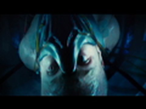From the producers of the Resident Evil film franchise comes Pandorum, a terrifying thriller in which two crew members wake up on an abandoned spacecraft From the producers of the Resident Evil film franchise comes Pandorum, a terrifying thriller in which two crew members wake up on an abandoned spacecraft