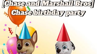 Chase And Marshall Bros Chase Birthday Party Full Show.