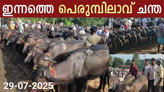 2972025 ഇനനതത പരമപലവ ചനത യടയബ ചനൽ