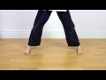 Kung Fu Tutorials -  BTD 1, 2 and 3 Horse Stances
