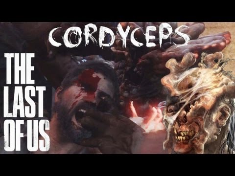 Cordyceps: Attack of The Killer Fungi - The Last of Us Edition...