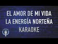 view El Amor De Mi Vida (Banda)