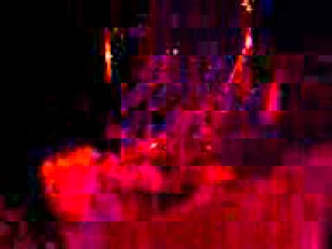 Animals In The Alley Video
