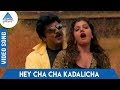 Janakiraman Tamil Movie Songs | Hey Cha Cha Kadalicha Video Song | Sarath Kumar | Rambha | Sirpy